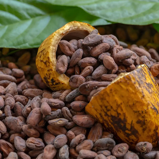 cocoa